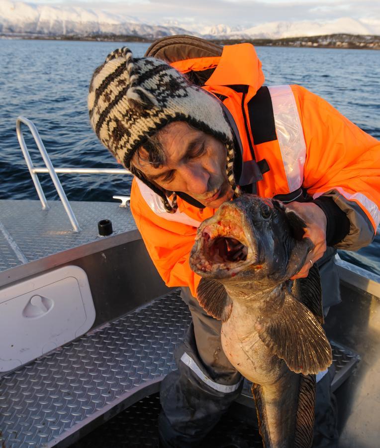 Vikran Vacation: Sea Fishing And Northern Lights Exterior foto