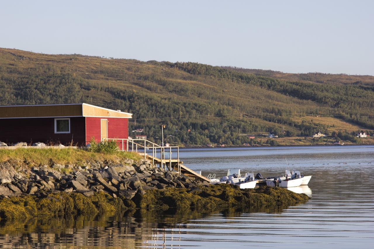 Vikran Vacation: Sea Fishing And Northern Lights Exterior foto