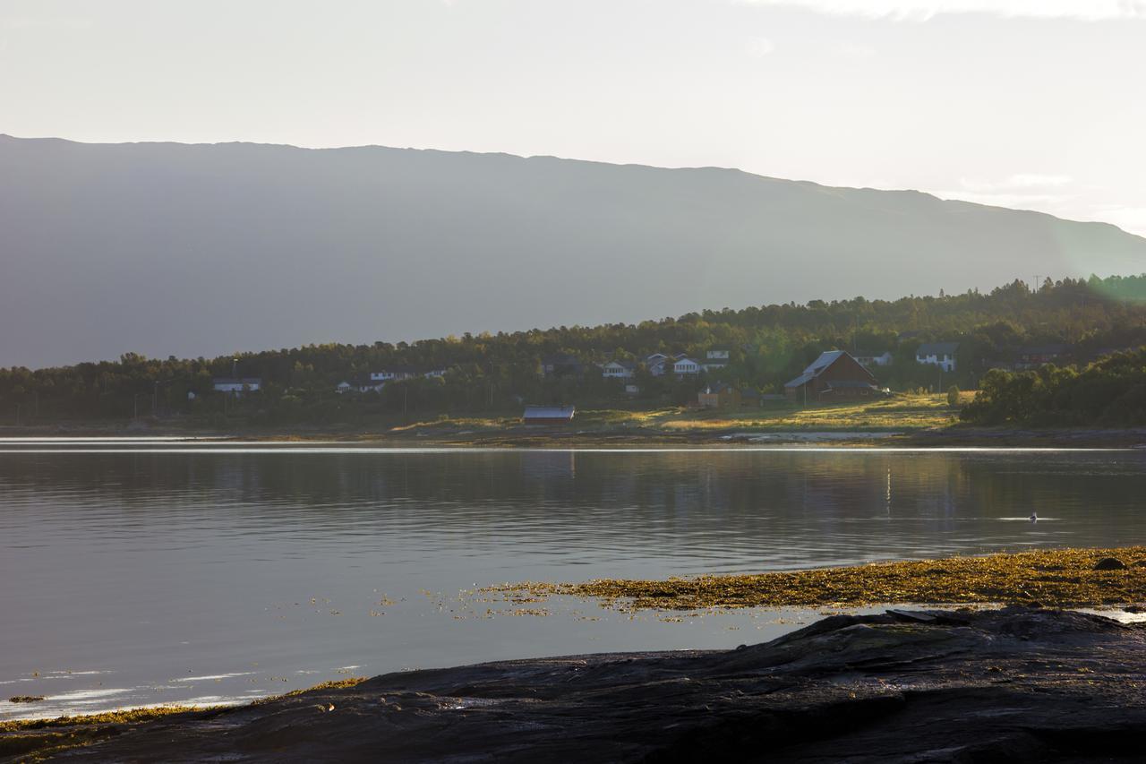 Vikran Vacation: Sea Fishing And Northern Lights Exterior foto